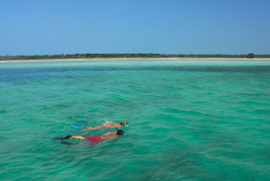 Key West: Dolphin Watching and Snorkeling Eco Cruise Tour - Timing for Sunset From the Water, How to Choose the Right Departure