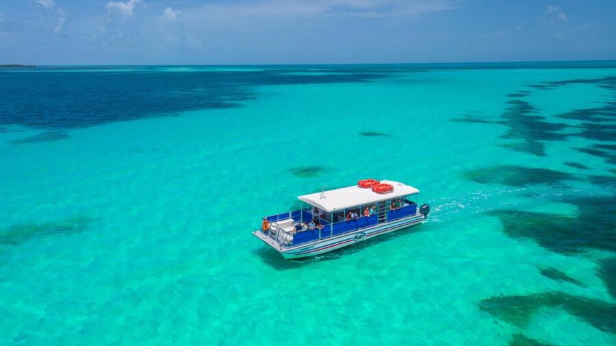 Key West: Dolphin Watching and Snorkeling Eco Cruise Tour - Price and Value for $79, What You’re Really Paying For