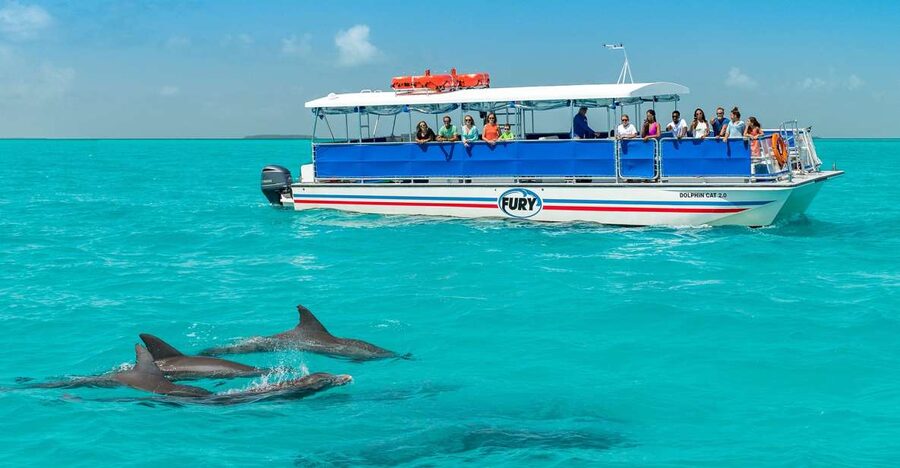 Key West: Dolphin Watching and Snorkeling Eco Cruise Tour - Who This Tour Fits Best, and Who Should Look Elsewhere