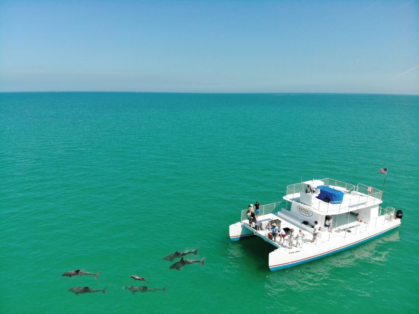 Key West: Dolphin Watching and Snorkeling Sunset Cruise - Cottrell Key and the Key West National Wildlife Refuge dolphin search