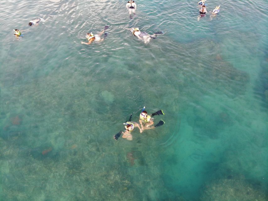 Key West: Dolphin Watching and Snorkeling Sunset Cruise - What the $79 price gets you, and where the value comes from