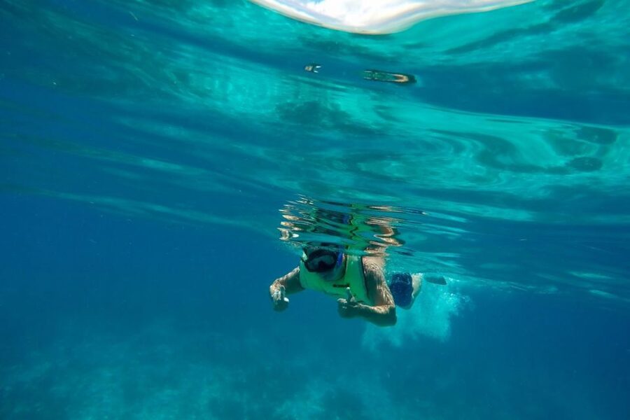 Key West: Dolphin Watching and Snorkeling Sunset Cruise - Should you book this Key West dolphin watching and snorkeling sunset cruise?