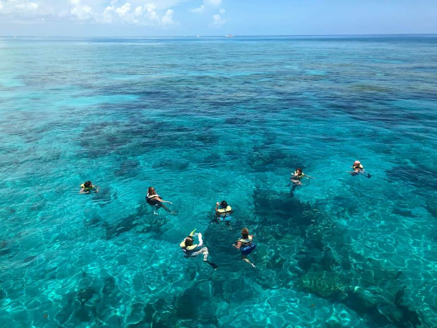 Key West: Dolphin Watching and Snorkeling Sunset Cruise - FAQ