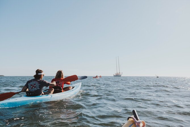 Key West Full-Day Ocean Adventure: Kayak, Snorkel, Sail - Mangrove Kayaking: Quiet Water, Up-Close Wildlife Chances