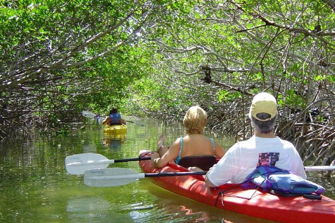 Key West Mangrove Kayak Eco Tour - Key West Mangrove Kayak Eco Tour: What Stands Out