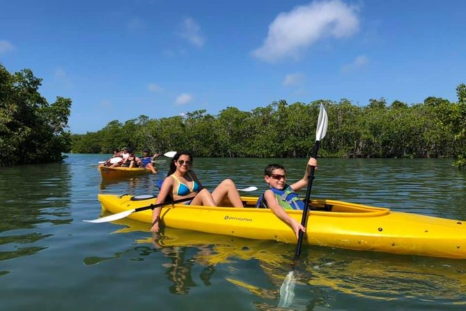 Key West Mangrove Kayak Eco Tour - Entering the Mangroves: Why This Tour Feels Special