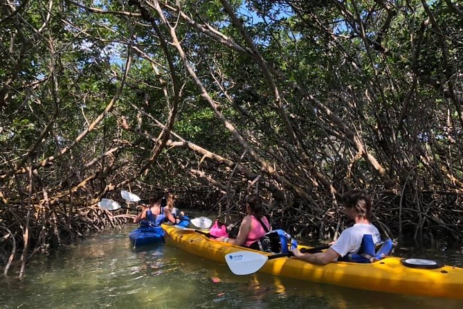 Key West Mangrove Kayak Eco Tour - Two Hours on the Water: Easy Paddling With Single or Double Kayaks