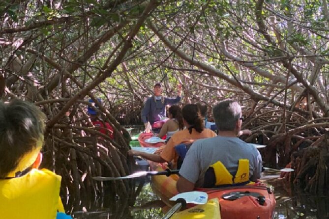 Key West Mangrove Kayak Eco Tour - The Launch and Safety Feel: Good for Beginners, with Real Support