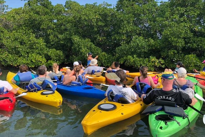 Key West Mangrove Kayak Eco Tour - Pacing, Group Size, and the Real Comfort Factor