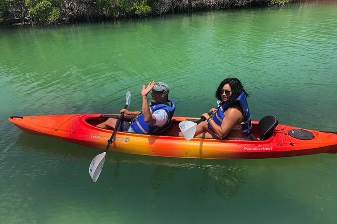 Key West Mangrove Kayak Eco Tour - Where You Start at Hurricane Hole Marina (and What to Expect)