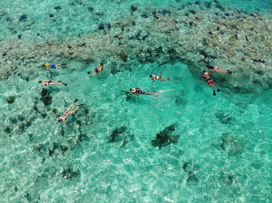 Key West: Reef Snorkel Morning Tour with Breakfast & Mimosas - Where You’ll Feel the Limits: Crowds and Surface-Focused Snorkeling