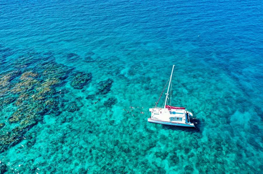 Key West: Reef Snorkel Morning Tour with Breakfast & Mimosas - Value Check: Is $54 Worth It for What You Get?