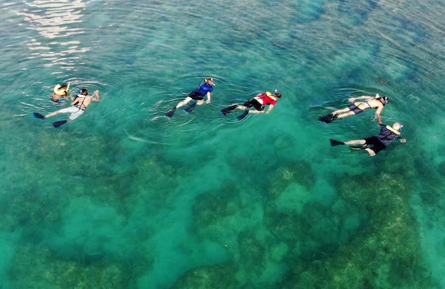 Key West: Reef Snorkel Morning Tour with Breakfast & Mimosas - Practical Tips for Snorkeling Comfort on This Tour
