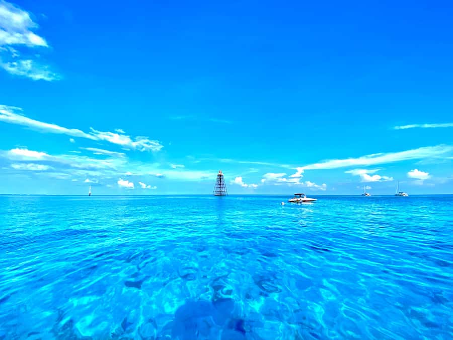 Key West: Reef Snorkel Morning Tour with Breakfast & Mimosas - Snorkel Day Highlights: Coral, Fish, and a Guided Plan