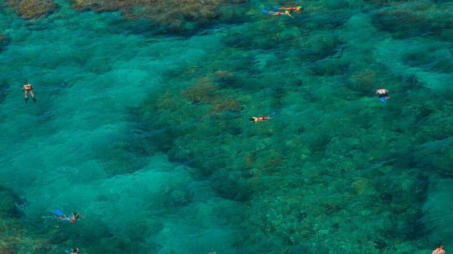 Key West: Reef Snorkeling with Drinks and Sunset Option - Fury Water Adventures Catamaran, Built for a 3-Hour Snorkel Day