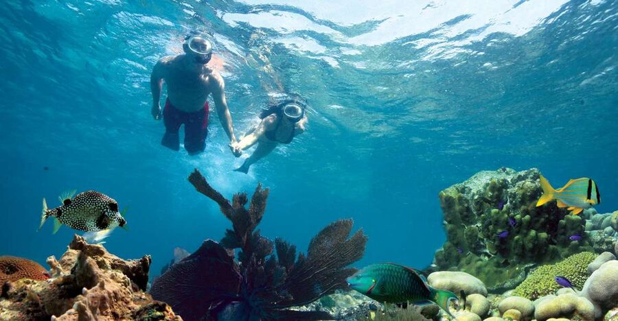 Key West: Reef Snorkeling with Drinks and Sunset Option - Where the Tour Starts: Opal Key Marina, Front Street Dock Time