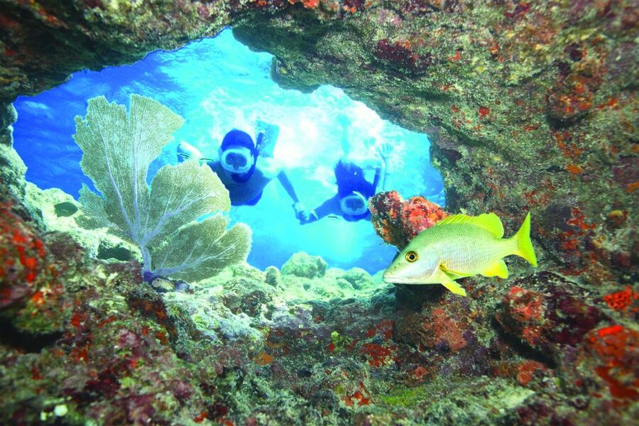Key West: Reef Snorkeling with Drinks and Sunset Option - FAQ