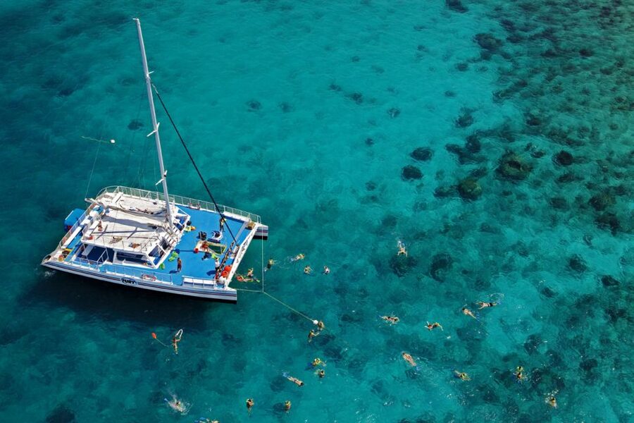 Key West: Reef Snorkeling with Drinks and Sunset Option - The Main Event: Snorkeling North America’s Only Living Coral Reef