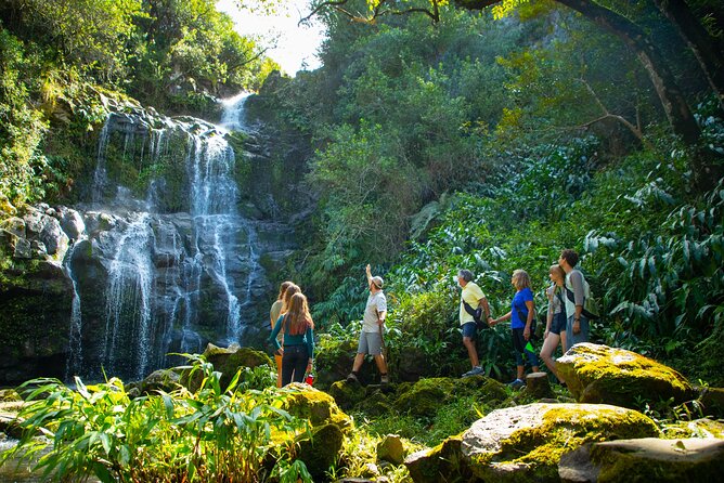 Kohala Waterfalls Small Group Adventure Tour - Getting Set Up: The Gear That Lets You Travel Light