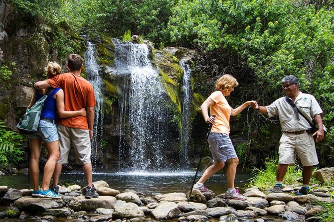 Kohala Waterfalls Small Group Adventure Tour - The Hike: Private Nature Reserve Meets a Restored Hawaiian Agricultural Site