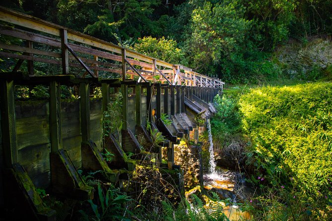 Kohala Waterfalls Small Group Adventure Tour - Waterfall Time: The Swim Stop and What to Expect