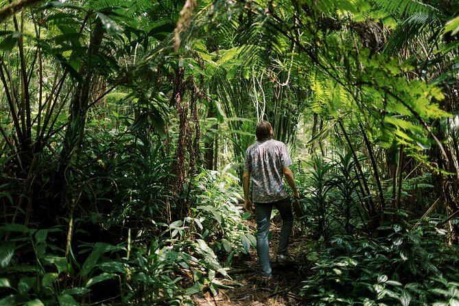 Kona Cloud Forest Sanctuary Montane Jungle Tour (2.5 hrs) - Quick Takeaways Before You Go