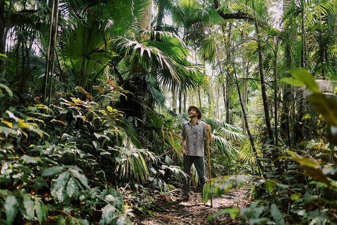 Kona Cloud Forest Sanctuary Montane Jungle Tour (2.5 hrs) - Family-Friendly Without Feeling Like a Classroom