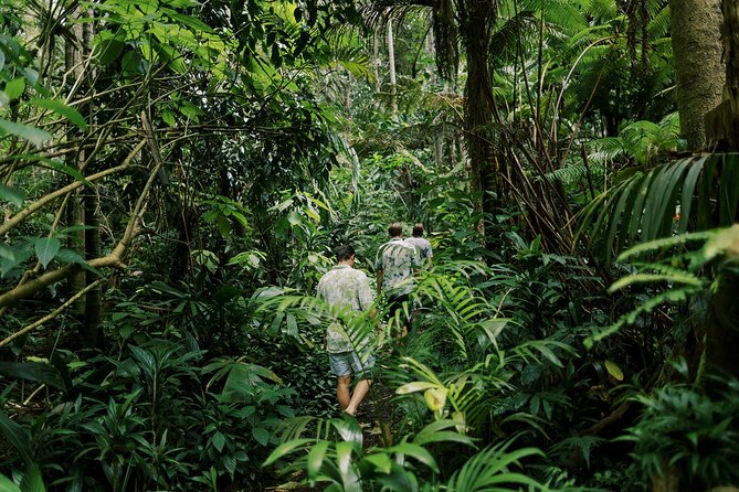 Kona Cloud Forest Sanctuary Montane Jungle Tour (2.5 hrs) - What to Wear and Bring for Kona Mist and Uneven Ground