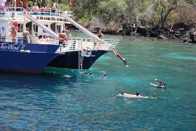 Kona’s Best Morning Snorkel: Captain Cook & Kealakekua Bay - Wildlife Chances: What to Watch For, and When