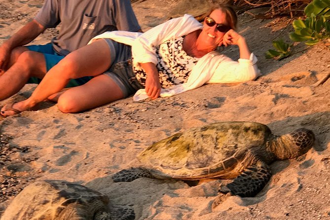 Kona Shore Excursion: Sea Turtles, Historic Kona & Coffee - St Benedict’s Painted Church and the Short Cultural Stop That Sticks