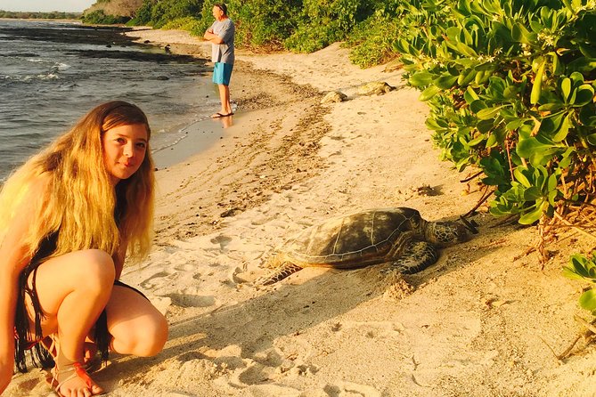 Kona Shore Excursion: Sea Turtles, Historic Kona & Coffee - Lunch in Honaunau: Poke, Local Vendors, and a Simple Reset