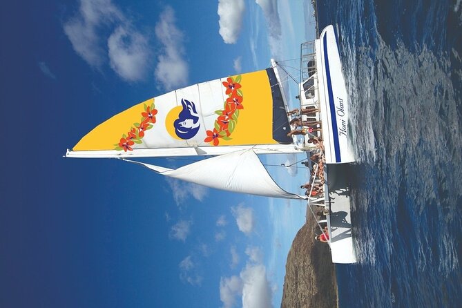 Kona Signature Catamaran Sunset Sail - Wildlife Spotting Without the Pressure