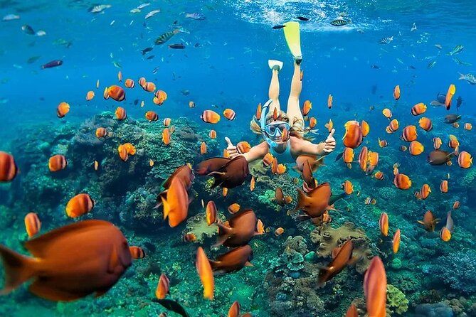 Kona Snorkel Tour: Captain Cook Reef Snorkel, Dolphin & Sea Caves - Why Kealakekua Bay is the star of this Captain Cook snorkel