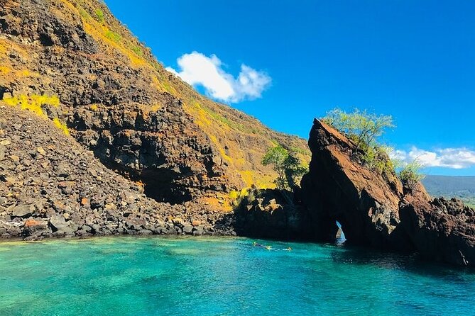 Kona Snorkel Tour: Captain Cook Reef Snorkel, Dolphin & Sea Caves - Wildlife spotting: dolphins, whales, and what to expect from the boat