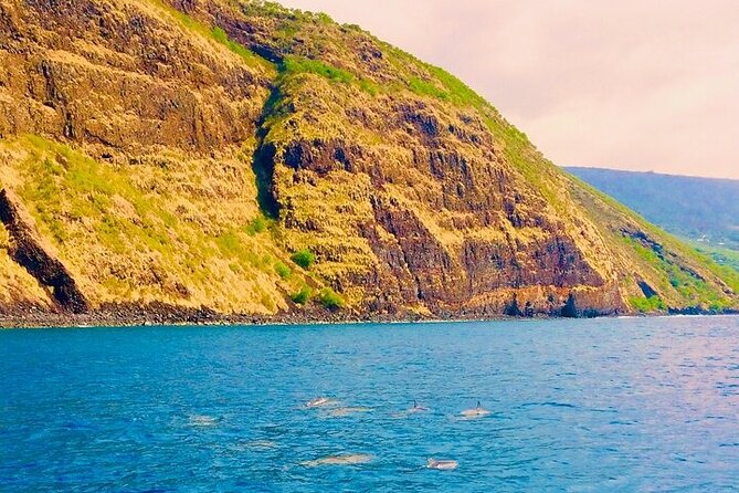 Kona Snorkel Tour: Captain Cook Reef Snorkel, Dolphin & Sea Caves - Price and value: is $71.10 actually a good deal?