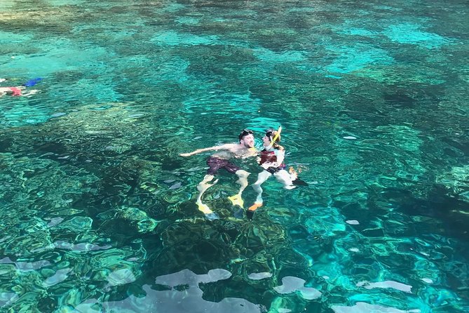 Kona Snorkeling: Beat the Crowd to Kealakekua Bay - Key Things I’d Prioritize Before You Go
