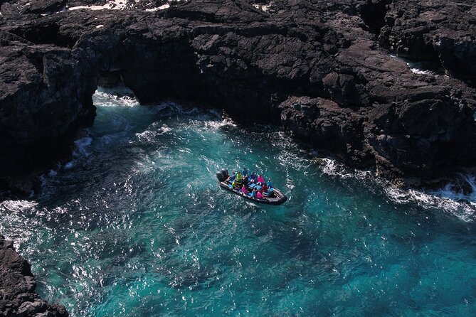 Kona Snorkeling: Beat the Crowd to Kealakekua Bay - Check In at Captain Zodiac: What the Kona Office Feels Like