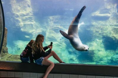 Aquarium of the Pacific Skip-the-Line Entry