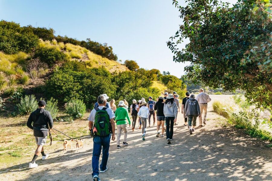LA: Express Hollywood Sign Guided Walking Tour with Photos - Price and Value: Why $15 Can Feel Like a Win