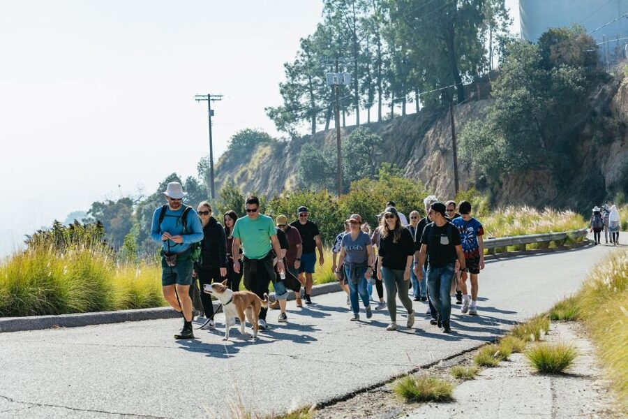 LA: Express Hollywood Sign Guided Walking Tour with Photos - Pace and Difficulty: Know What You’re Signing Up For