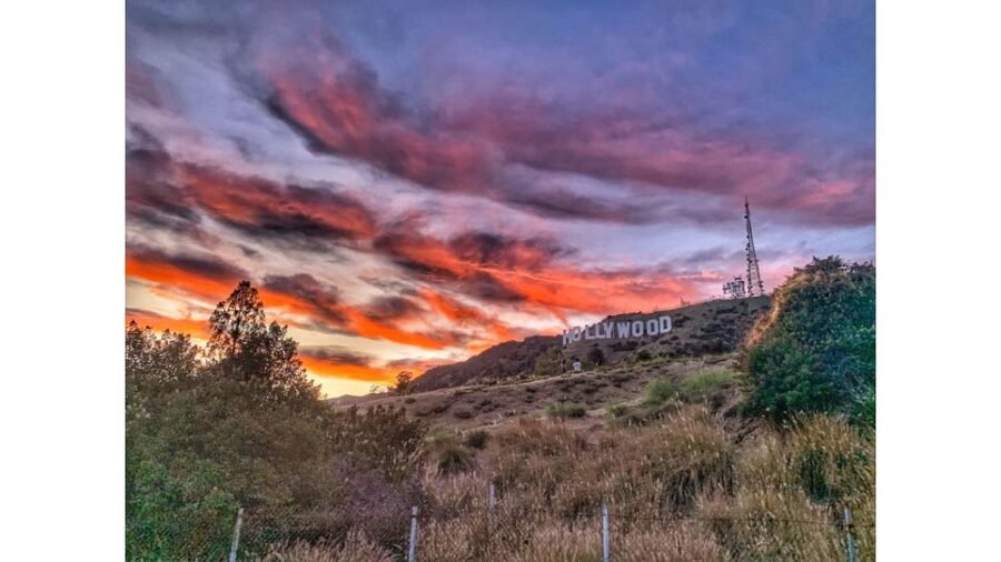 LA: Hollywood Sign Tour with Comedians, Dogs, & Epic Photos - What the 150 minutes feels like in real life