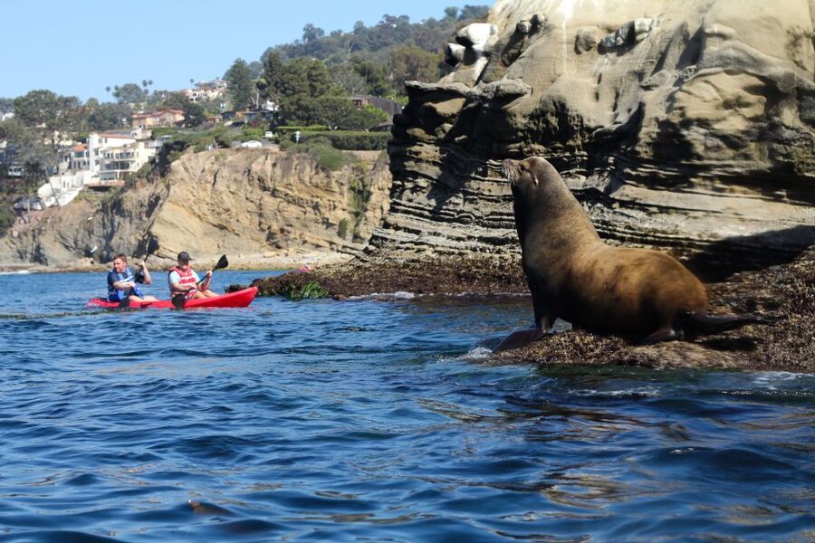 La Jolla: 2-Hour Kayak Tour of the 7 Caves - Guide quality: safety first, fun always