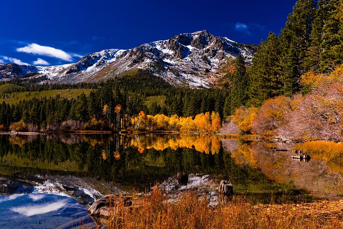 Lake Tahoe Small-Group Photography Scenic Half-Day Tour - Photo Coaching That Works for DSLR Users and Phone Users