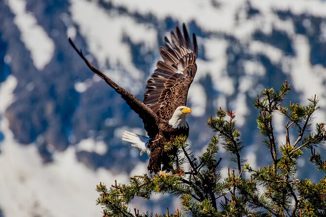 Lake Tahoe Small-Group Photography Scenic Half-Day Tour - Should You Book This Ultimate Scenic Photo Tour?