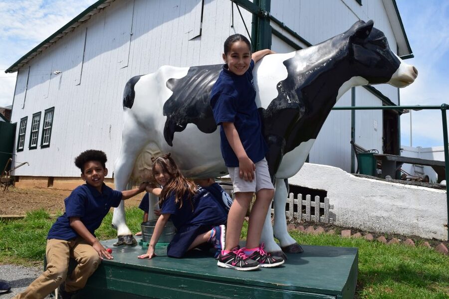 Lancaster County: Amish Farmlands, Museum Tour, Farm Visit - Key takeaways before you go