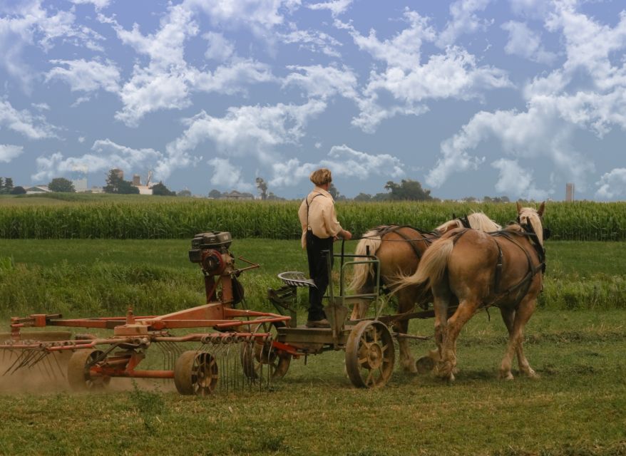 Lancaster County: Amish Farmlands, Museum Tour, Farm Visit - Should you book this Amish Farm and House experience?
