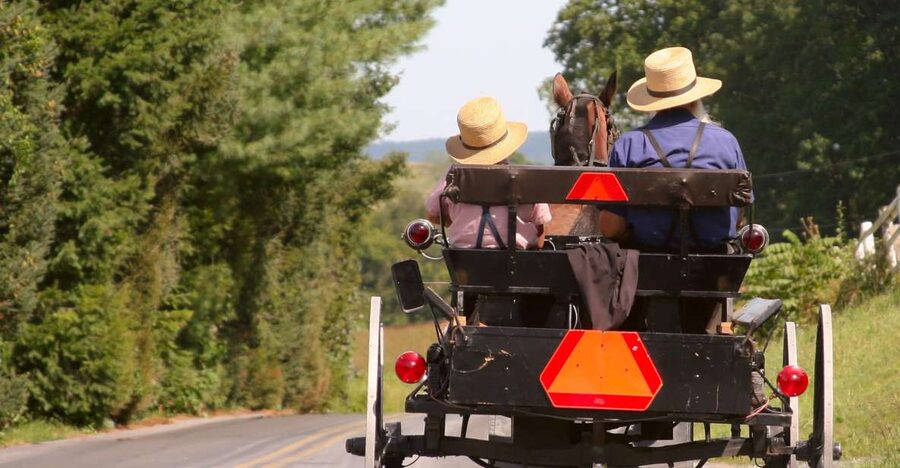 Lancaster County: Amish Farmlands, Museum Tour, Farm Visit - Lancaster County Amish Country tour, with real time to look