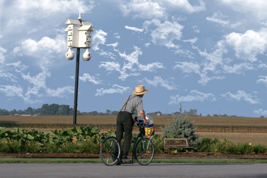 Lancaster County: Amish Farmlands, Museum Tour, Farm Visit - The 90-minute countryside ride: where you spot Amish daily life
