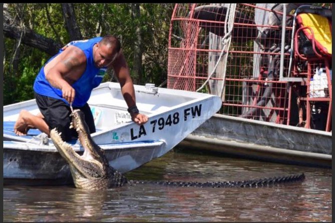 Large Airboat Swamp Tour with Transportation from New Orleans - Who This Tour Fits Best (And Who Should Rethink It)