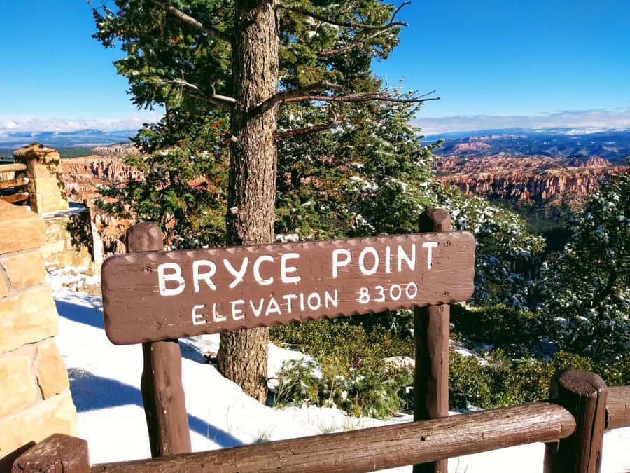Las Vegas: Bryce and Zion National Parks Tour with Lunch - Bryce Canyon: Rim Views, Hoodoos Up Close, and a Guided Walk